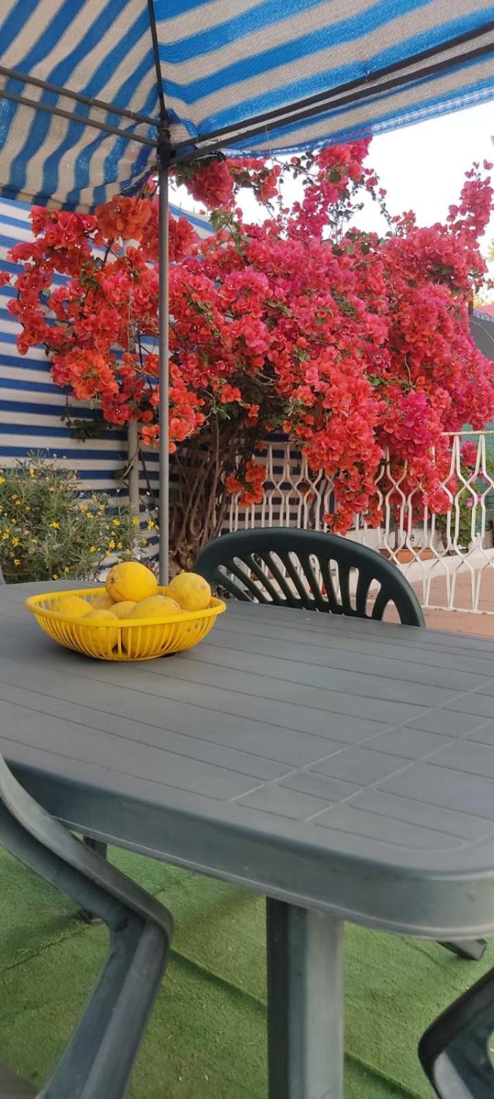 Garden Green Da Virna 토레 안눈치아타 외부 사진