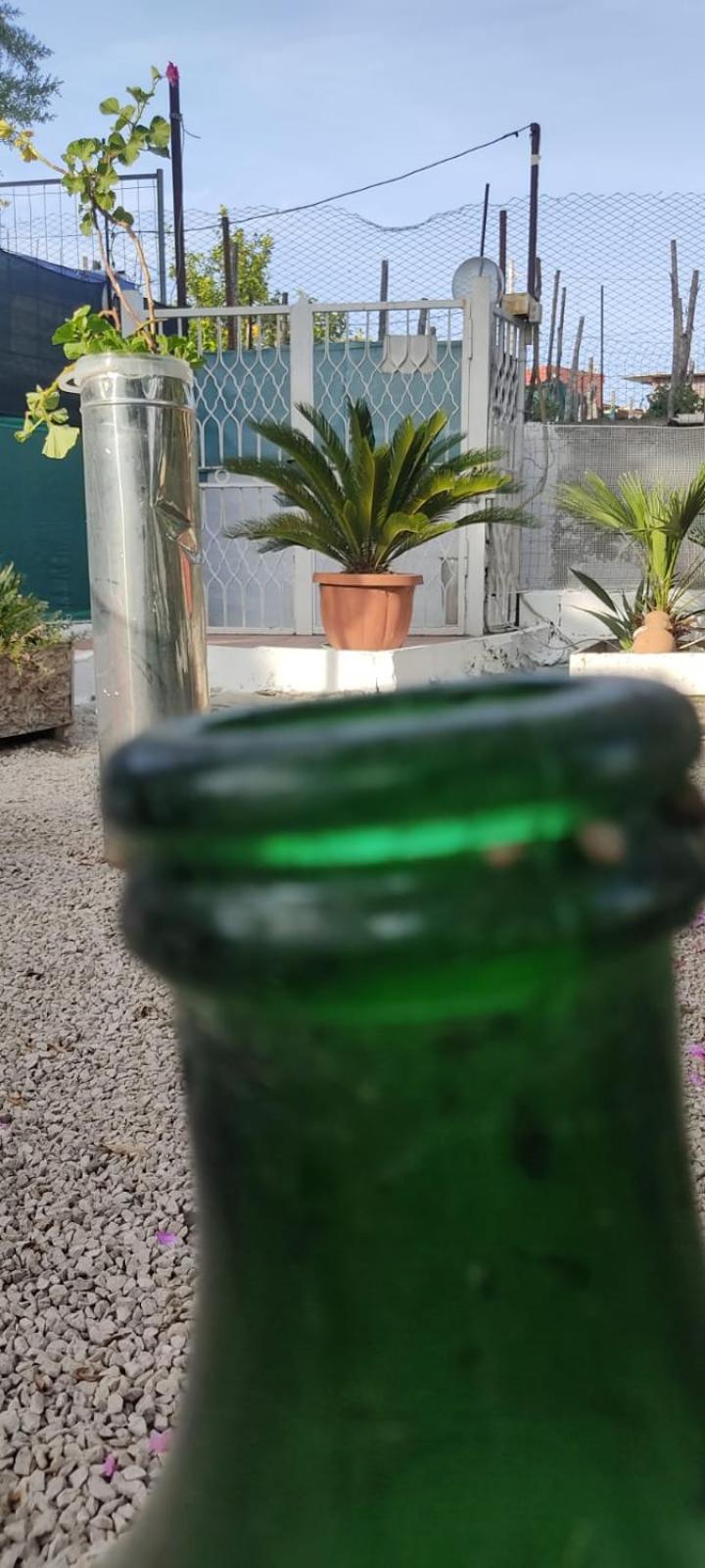 Garden Green Da Virna 토레 안눈치아타 외부 사진