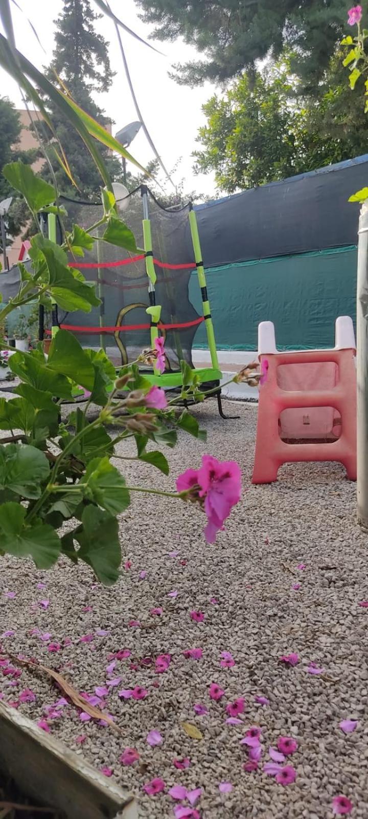Garden Green Da Virna 토레 안눈치아타 외부 사진