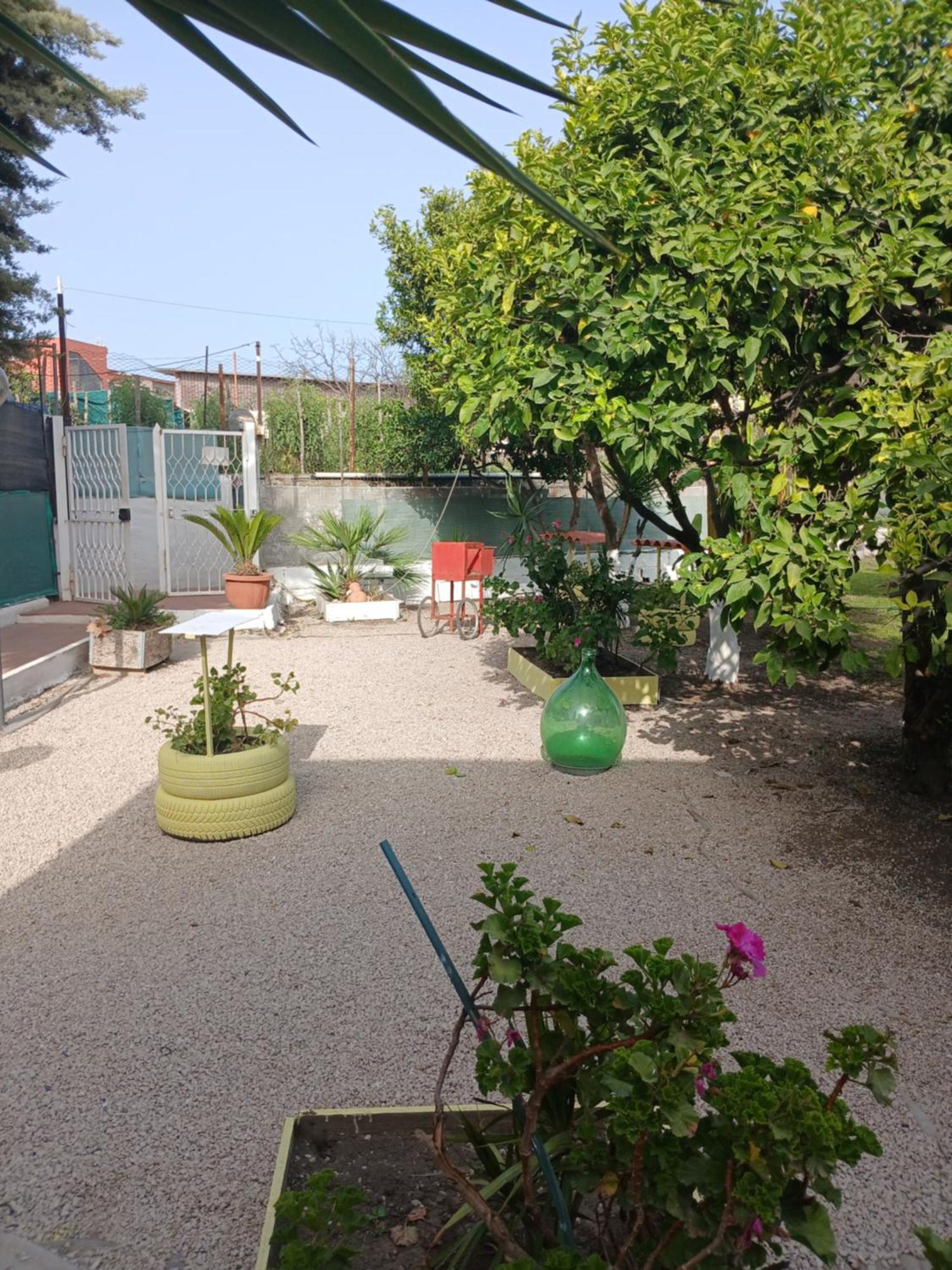 Garden Green Da Virna 토레 안눈치아타 외부 사진